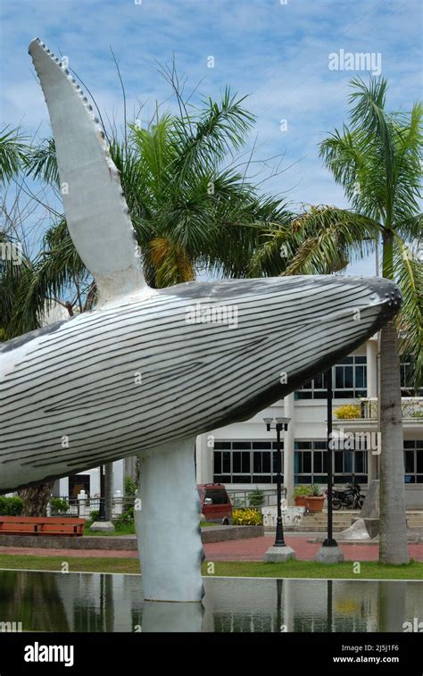 cadiz city whales history|The Cadiz City’s Festival and the History Itself.